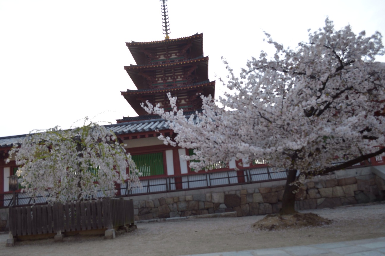 f:id:haru_ban:20140408231239j:plain f:id:haru_ban:20140408231239j:plain