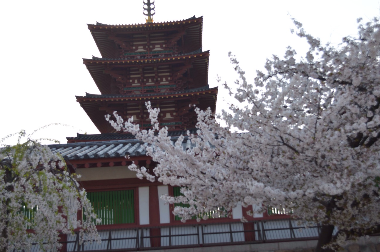 f:id:haru_ban:20140408231254j:plain f:id:haru_ban:20140408231254j:plain