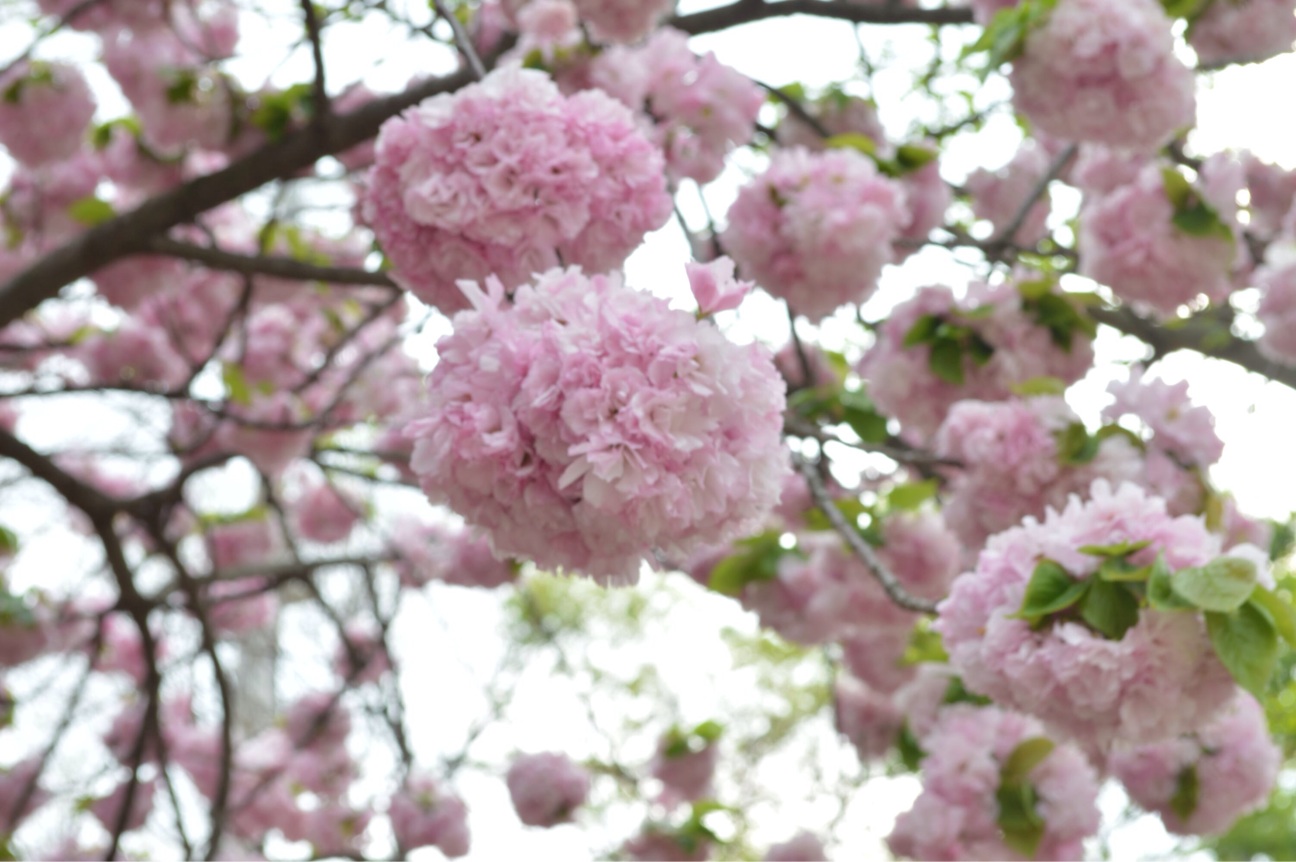 f:id:haru_ban:20140418224914j:plain f:id:haru_ban:20140418224914j:plain