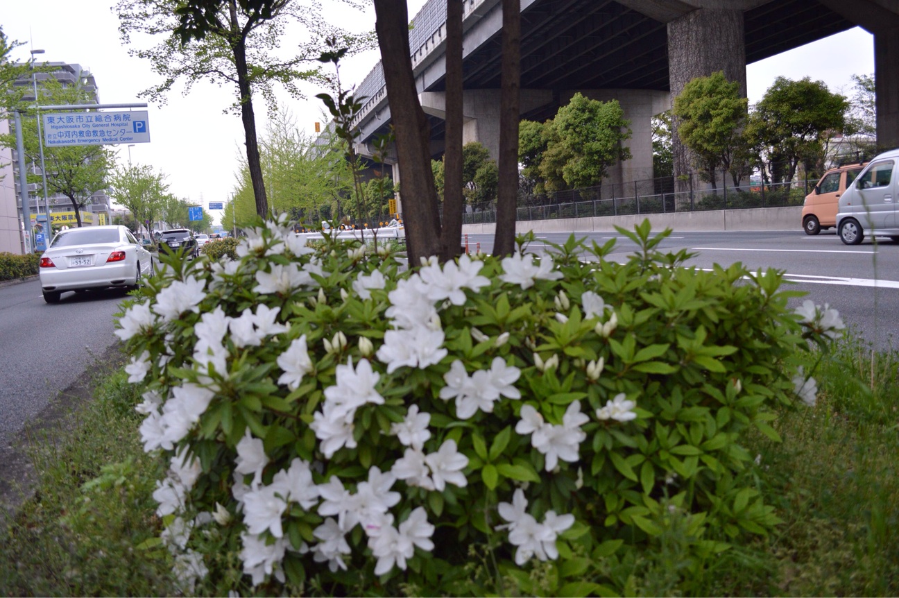 f:id:haru_ban:20140418225325j:plain f:id:haru_ban:20140418225325j:plain
