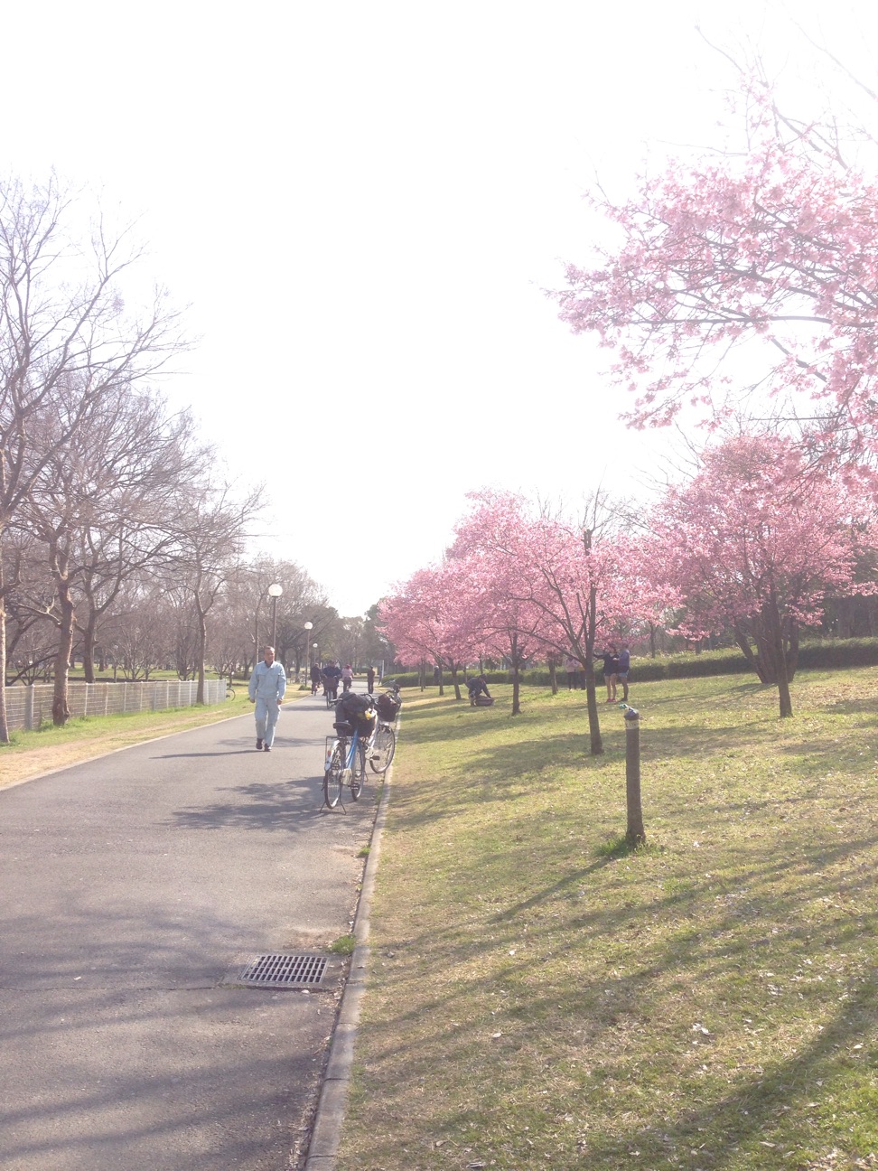 f:id:haru_ban:20150314004254j:plain f:id:haru_ban:20150314004254j:plain