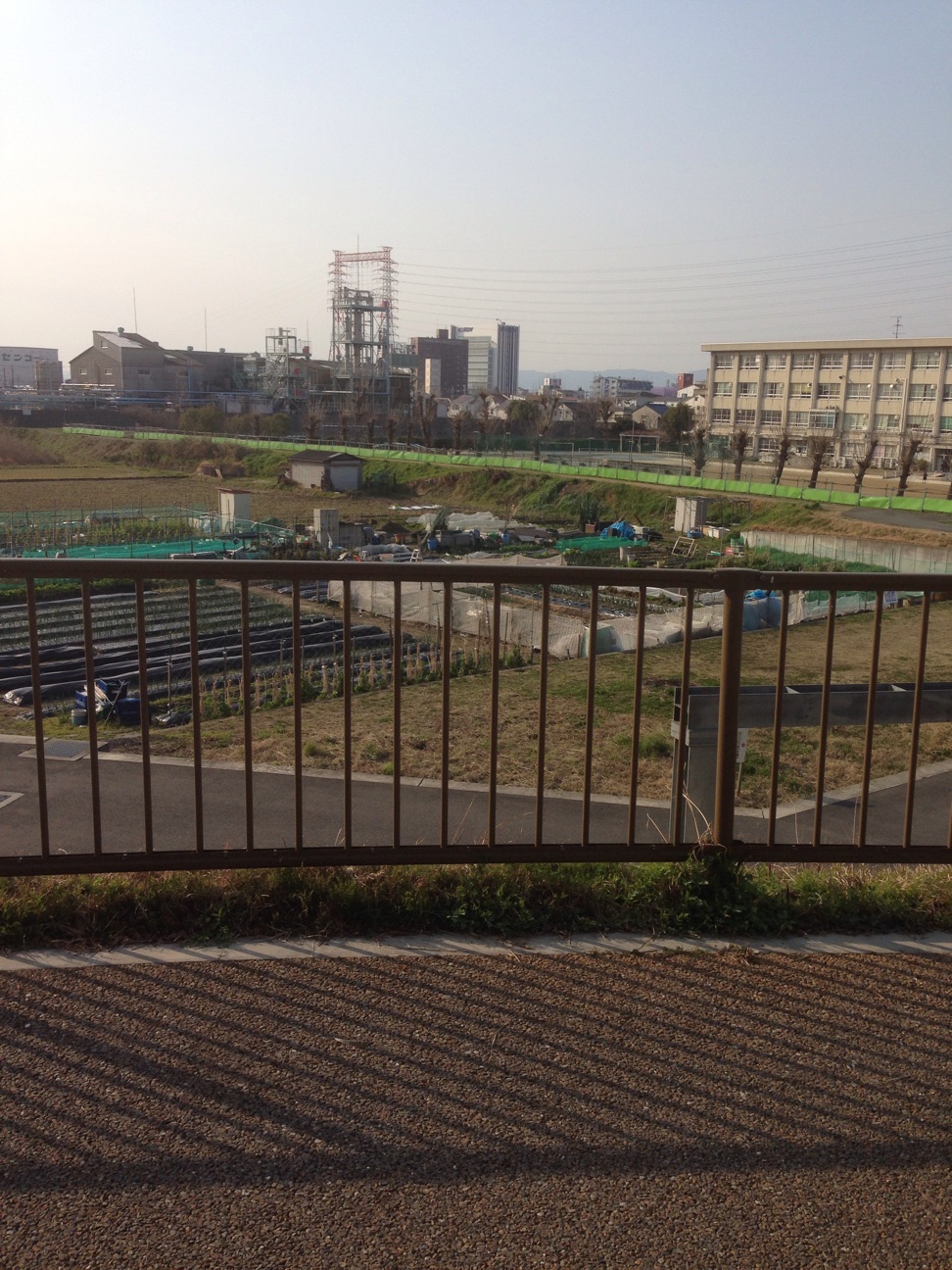 f:id:haru_ban:20150314005510j:plain f:id:haru_ban:20150314005510j:plain