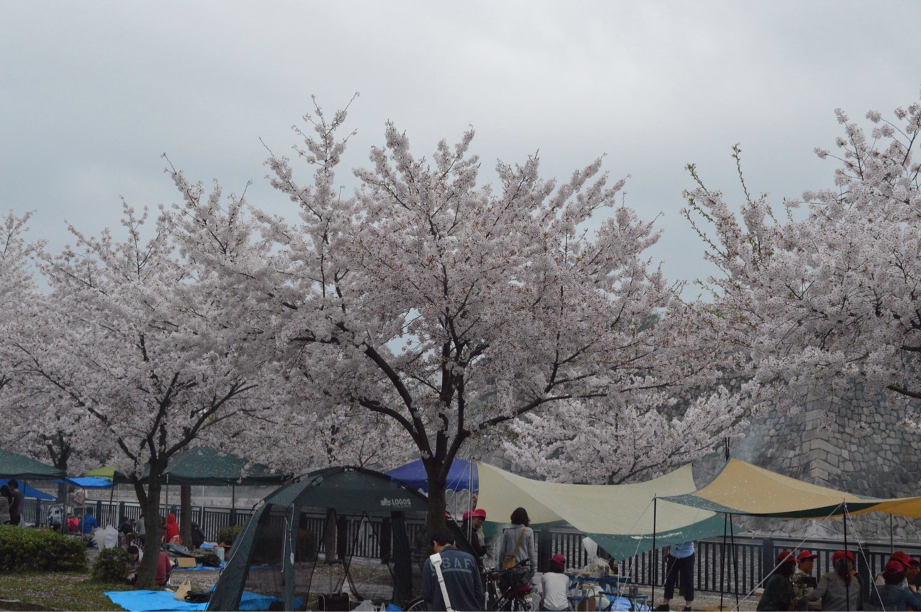 f:id:haru_ban:20150406020919j:plain f:id:haru_ban:20150406020919j:plain