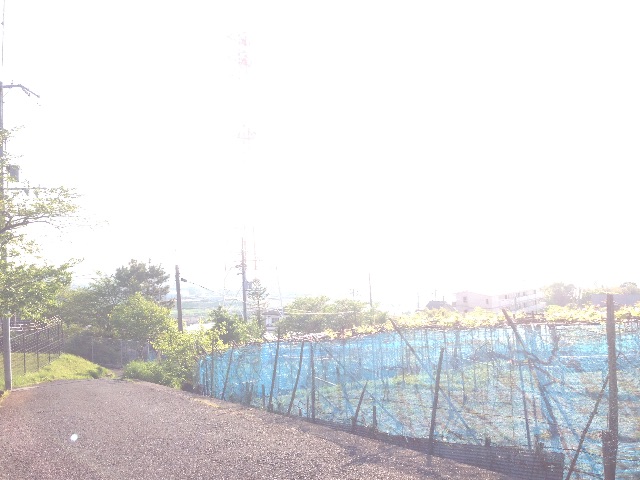 f:id:haru_ban:20150427234745j:image f:id:haru_ban:20150427234745j:image