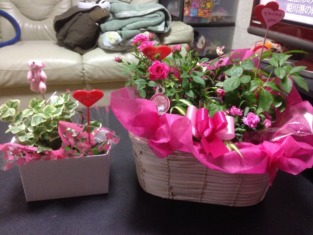 f:id:haru_ban:20150510204551j:image f:id:haru_ban:20150510204551j:image