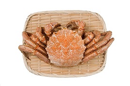 f:id:harubonbon:20130602192111j:plain