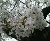 f:id:haruka_nostalgie:20120702231802j:image