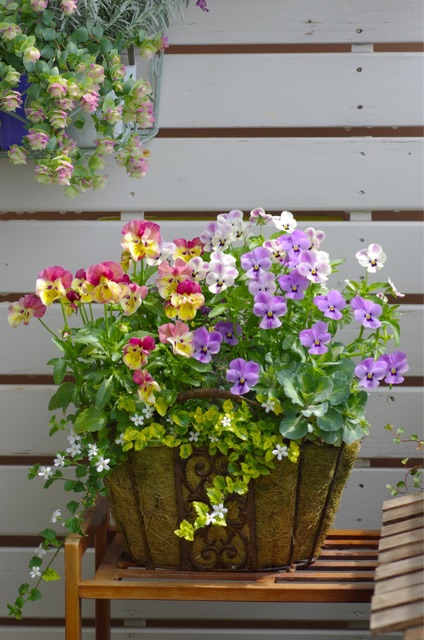 f:id:harukainana:20150430064445j:plain f:id:harukainana:20150430064445j:plain