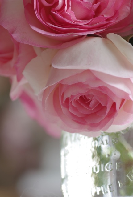 f:id:harukainana:20150514224529j:plain f:id:harukainana:20150514224529j:plain
