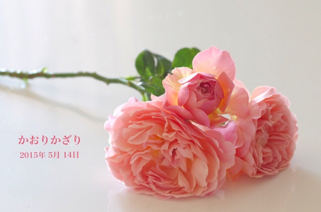 f:id:harukainana:20150514224954j:plain f:id:harukainana:20150514224954j:plain