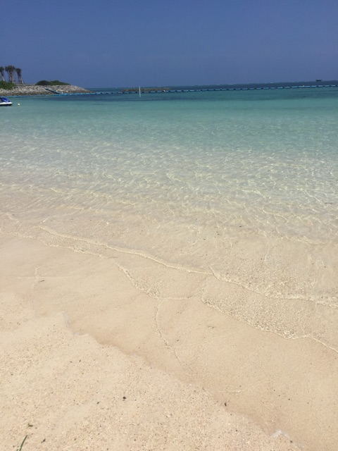 f:id:harukainana:20150514233245j:plain f:id:harukainana:20150514233245j:plain