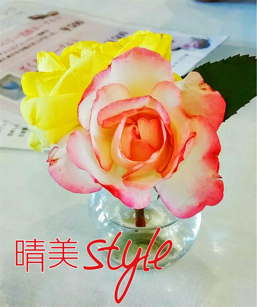 f:id:harumistyle:20160513181027j:image f:id:harumistyle:20160513181027j:image