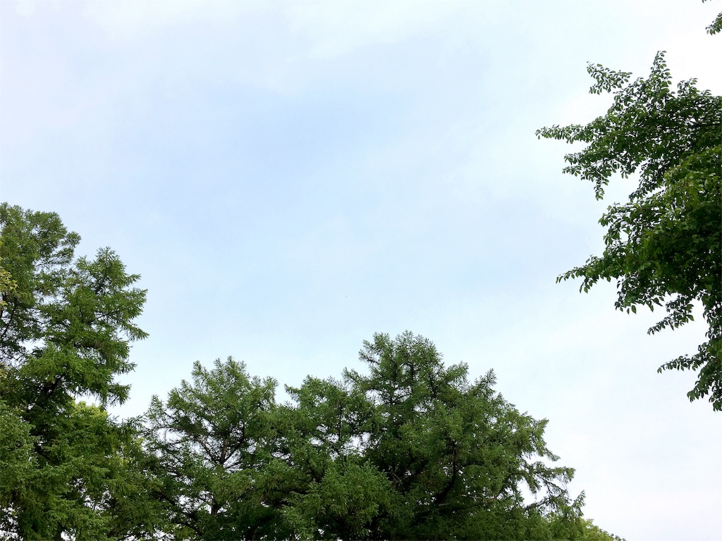 f:id:harumistyle:20160520133423j:image f:id:harumistyle:20160520133423j:image
