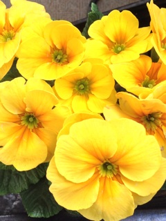 f:id:haruna333:20140117083532j:plain f:id:haruna333:20140117083532j:plain
