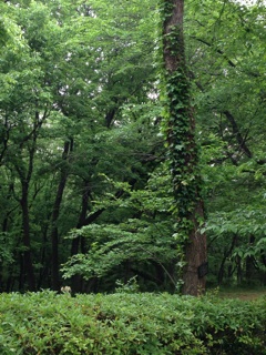f:id:haruna333:20140522132628j:plain f:id:haruna333:20140522132628j:plain