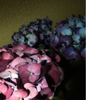 f:id:haruna333:20140602201816j:plain f:id:haruna333:20140602201816j:plain