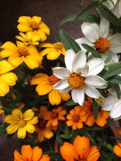 f:id:haruna333:20140719174745j:plain f:id:haruna333:20140719174745j:plain