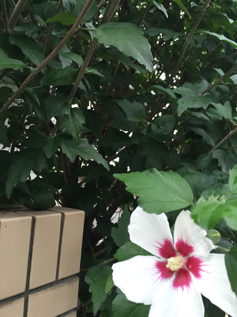f:id:haruna333:20150909231344j:image f:id:haruna333:20150909231344j:image