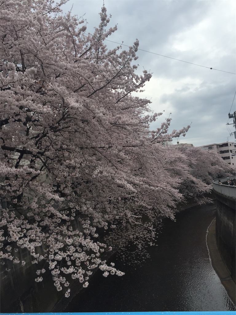 f:id:haruna333:20160403192445j:image f:id:haruna333:20160403192445j:image