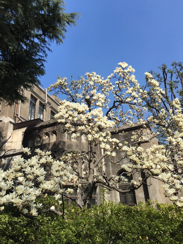 f:id:haruno20151221:20160318065600j:plain