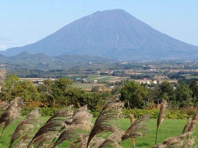 f:id:harupinruu:20141013152718j:plain f:id:harupinruu:20141013152718j:plain