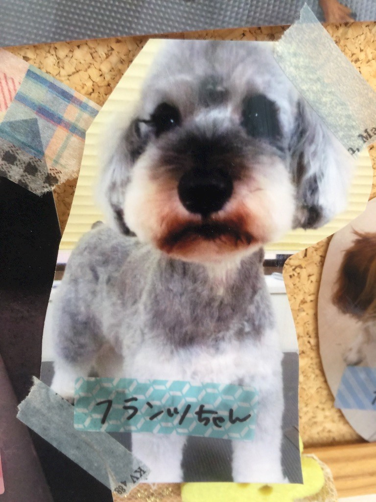 f:id:harupinruu:20150719180822j:image f:id:harupinruu:20150719180822j:image