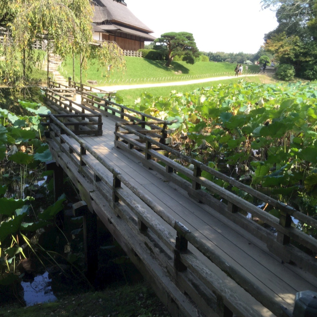 f:id:harupinruu:20151009134024j:image f:id:harupinruu:20151009134024j:image