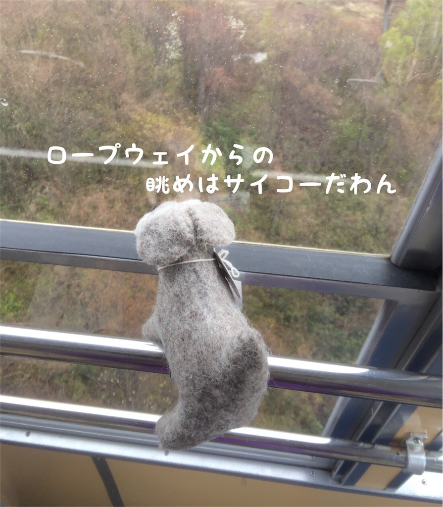 f:id:harupinruu:20160516184327j:image f:id:harupinruu:20160516184327j:image
