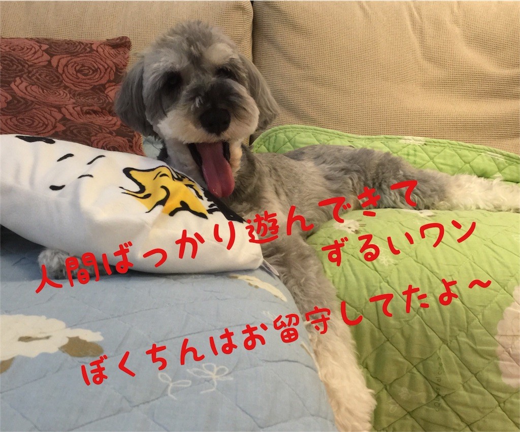 f:id:harupinruu:20160516184348j:image f:id:harupinruu:20160516184348j:image
