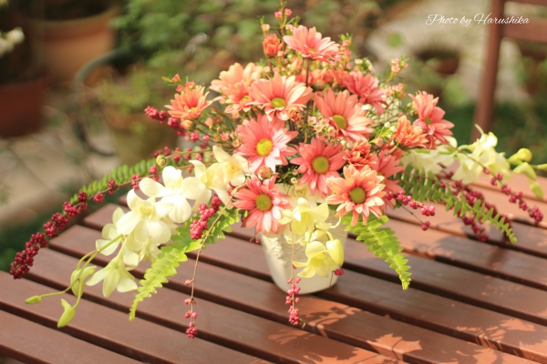 f:id:harushika1013:20151025202238j:plain f:id:harushika1013:20151025202238j:plain