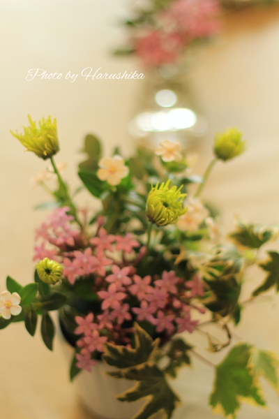 f:id:harushika1013:20151025202334j:plain f:id:harushika1013:20151025202334j:plain