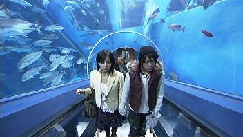 野ブタをプロデュース 野ブタ。をプロデュース｜日本テレビ