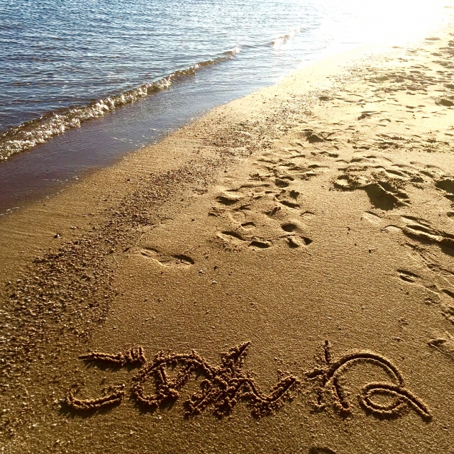 f:id:haruusagi_kyo:20160310115121j:plain f:id:haruusagi_kyo:20160310115121j:plain