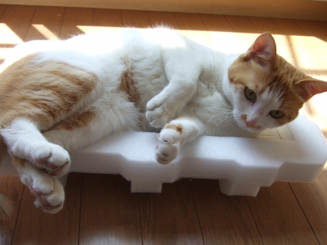 f:id:haruusagi_kyo:20160426085323j:plain