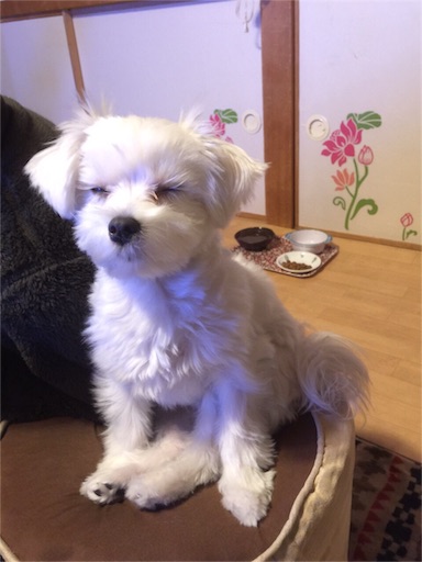 f:id:haruzen:20151211124425j:image f:id:haruzen:20151211124425j:image