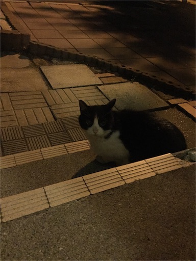 f:id:haruzen:20160603153857j:image f:id:haruzen:20160603153857j:image