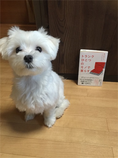 f:id:haruzen:20160605170550j:image f:id:haruzen:20160605170550j:image