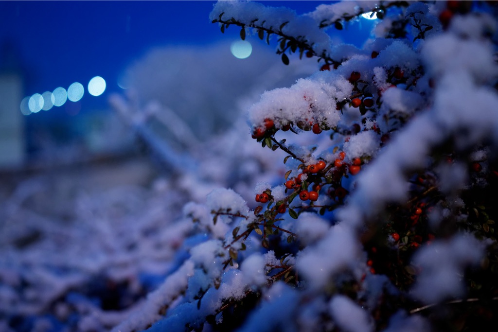 f:id:hassyphoto:20151229043546j:image f:id:hassyphoto:20151229043546j:image