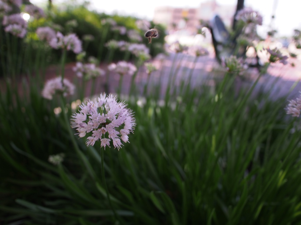 f:id:hassyphoto:20151229044136j:image f:id:hassyphoto:20151229044136j:image