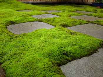 f:id:hasuyazouen:20111005110401j:image:w360 f:id:hasuyazouen:20111005110401j:image:w360