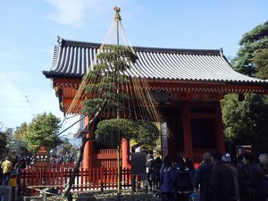 f:id:hasuyazouen:20111201170917j:image f:id:hasuyazouen:20111201170917j:image