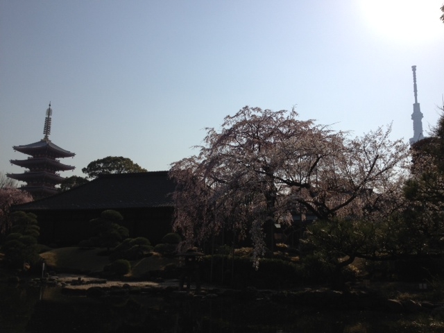 f:id:hasuyazouen:20120409080955j:image:w360 f:id:hasuyazouen:20120409080955j:image:w360