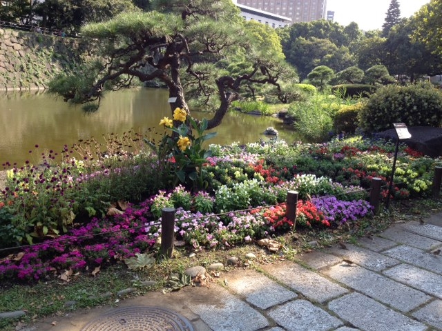 f:id:hasuyazouen:20120929140620j:image:w360 f:id:hasuyazouen:20120929140620j:image:w360