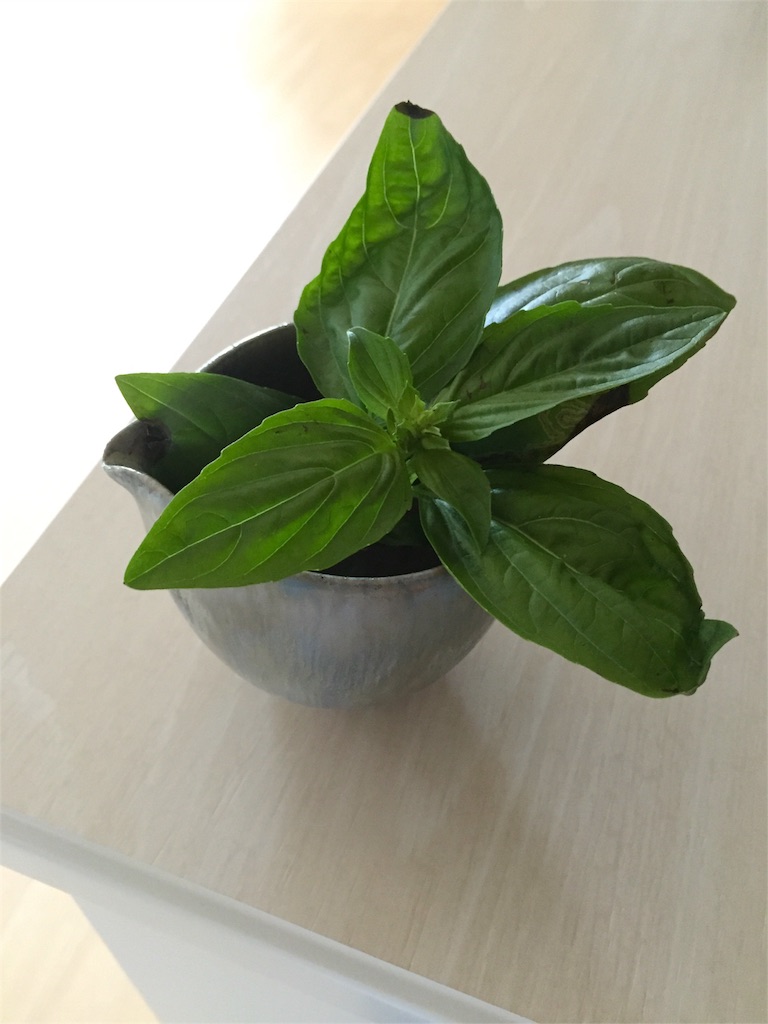 f:id:hatankyou:20160607221451j:image f:id:hatankyou:20160607221451j:image