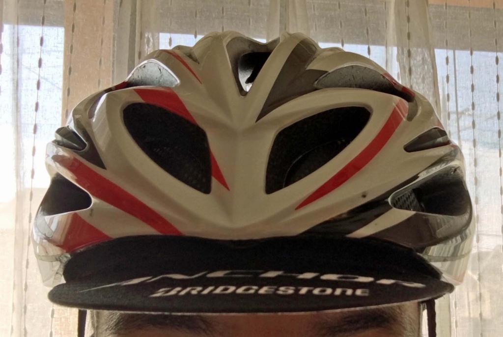 f:id:hatatinokarada:20160131104412j:plain