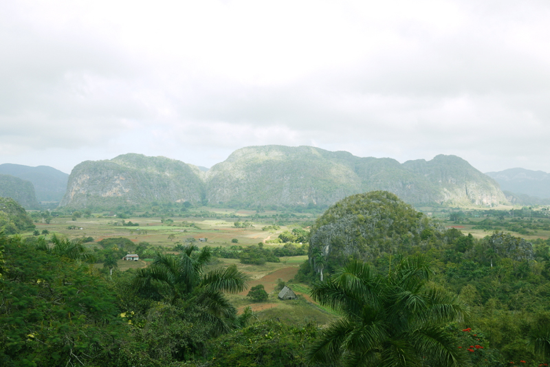 f:id:hatezki:20150104120915j:plain f:id:hatezki:20150104120915j:plain