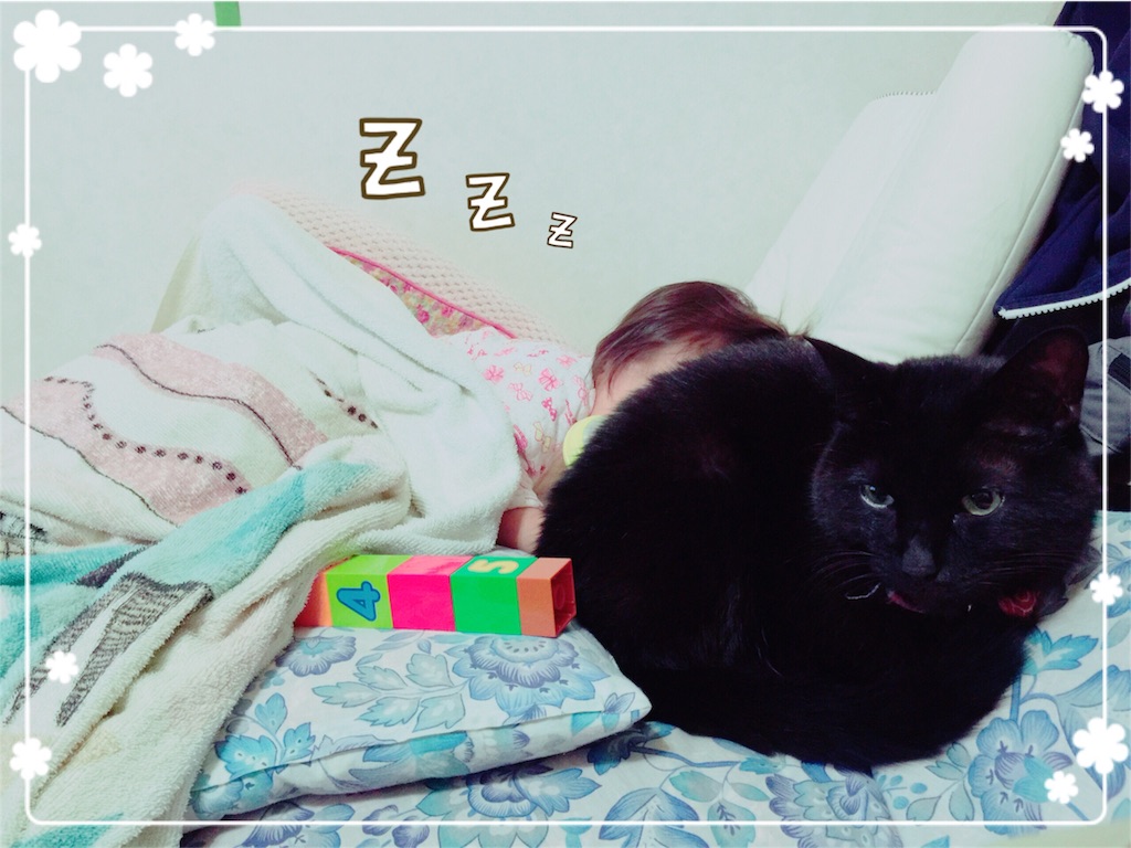 f:id:hatorii:20151127232313j:image f:id:hatorii:20151127232313j:image