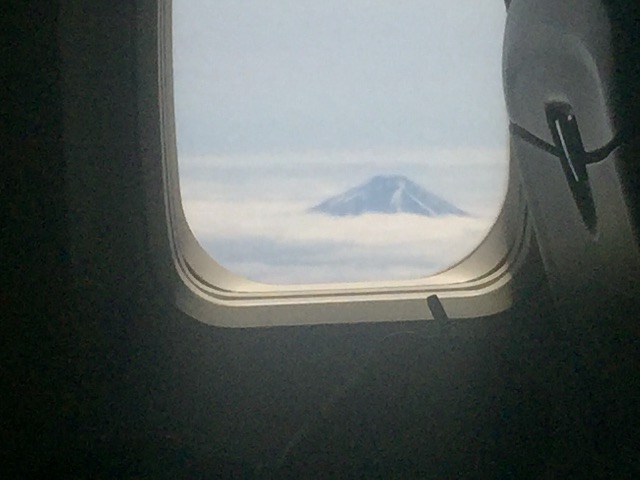 f:id:hattorinoboru:20150608153022j:image f:id:hattorinoboru:20150608153022j:image