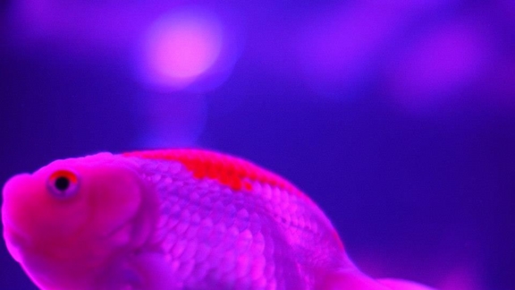 f:id:hatyone:20120918235013j:plain f:id:hatyone:20120918235013j:plain