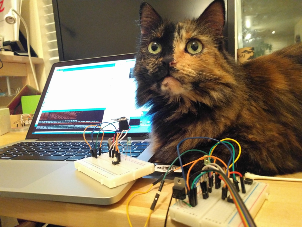 f:id:hatyone:20151205005816j:plain